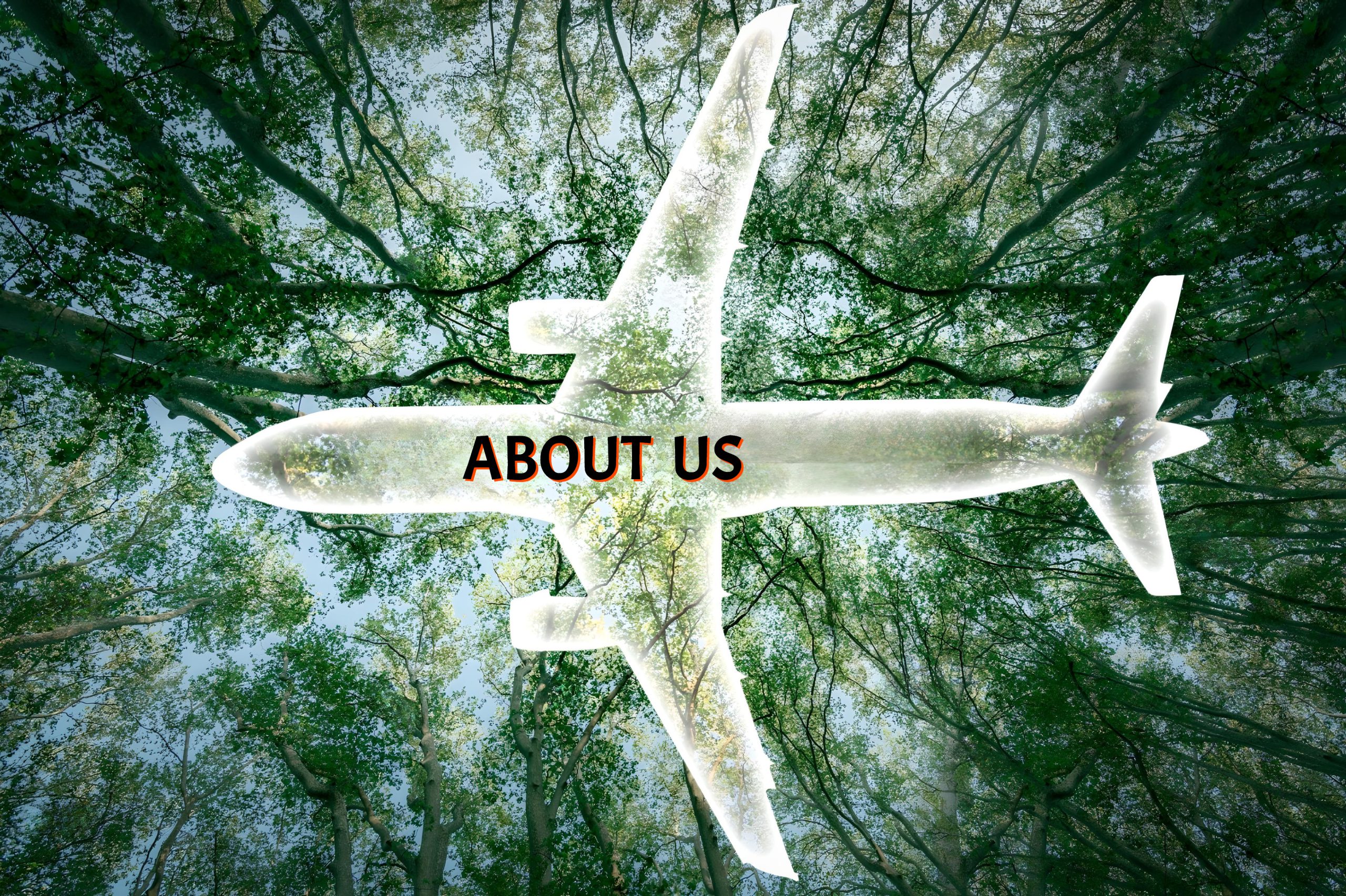 ABOUT US-AI